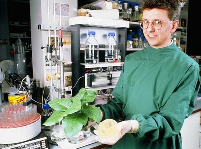 烟草实验室 烟草实验室